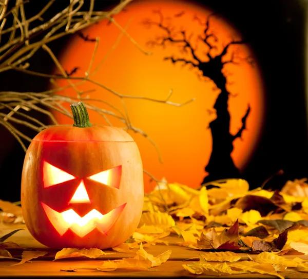Halloween orange pumpkin on autumn leaves Stock Image