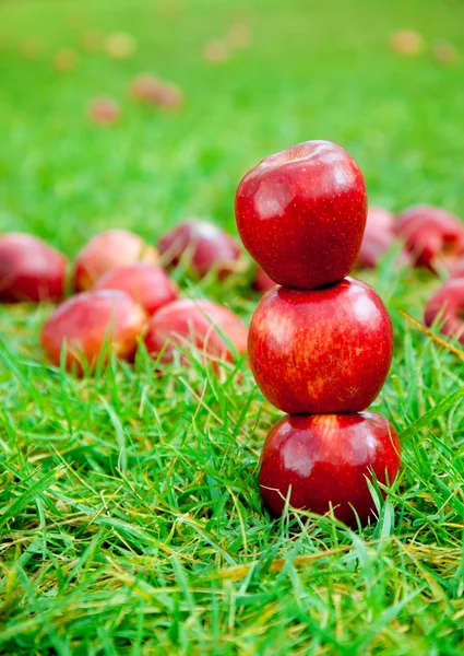 Tres manzanas rojas apiladas en el campo de hierba —  Fotos de Stock