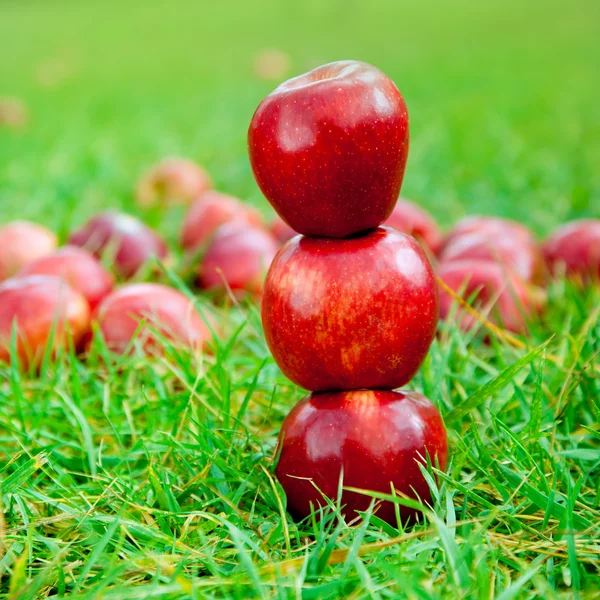 Τρία κόκκινα μήλα στοιβάζονται σε πεδίο γρασίδι — Φωτογραφία Αρχείου