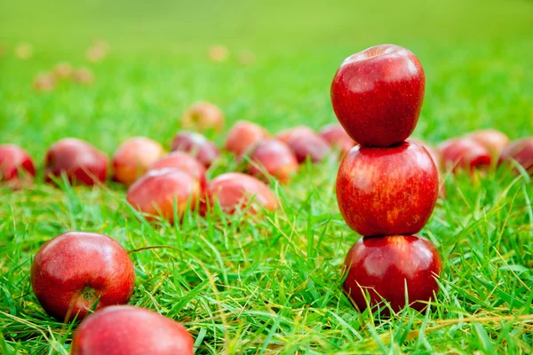 Três maçãs vermelhas empilhadas no campo de grama — Fotografia de Stock
