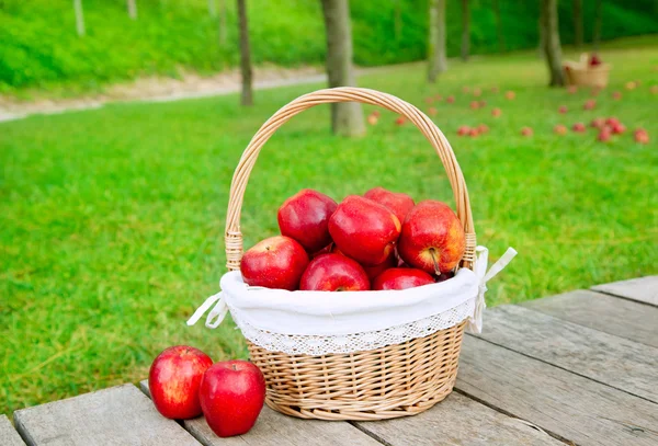 Cesta de maçãs vermelhas no chão de madeira — Fotografia de Stock