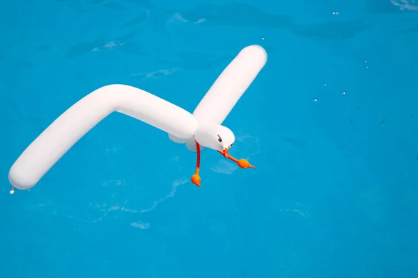 空気バルーン シーガル アクア水に浮かんでいます。 — ストック写真