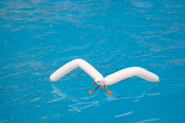 Air balloon seagull floating in aqua water — Stock Photo, Image