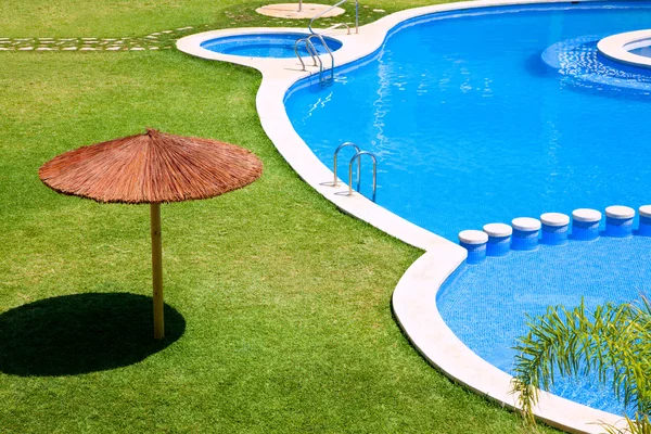 Jardin vert avec herbe et piscine — Photo