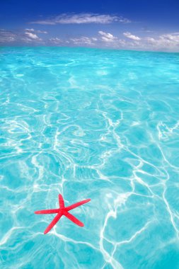 Deniz yıldızı yaz sembol olarak tropikal plaj