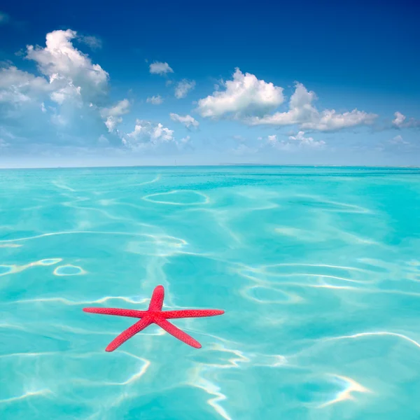Estrella de mar roja flotando en el mar tropical perfecto — Foto de Stock