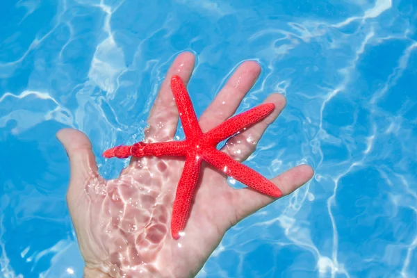 Red starfish in human hand floating — Stock Photo, Image