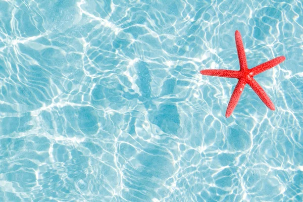 Pływające rozgwiazda czerwona w turkus piasek plaża — Zdjęcie stockowe