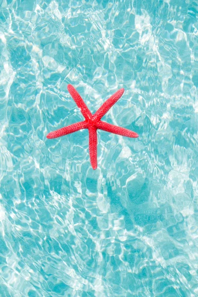 Yüzen kırmızı deniz yıldızı turkuaz kum plaj — Stok fotoğraf
