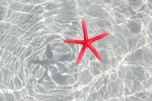 Pływające rozgwiazda czerwona w biały piasek na plaży — Zdjęcie stockowe