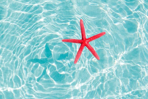 Yüzen kırmızı deniz yıldızı turkuaz kum plaj — Stok fotoğraf