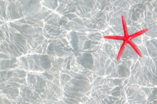 Floating red starfish in white sand beach