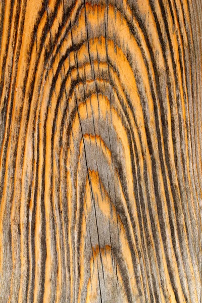 Leeftijd oude grenen hout grunge textuur — Stockfoto