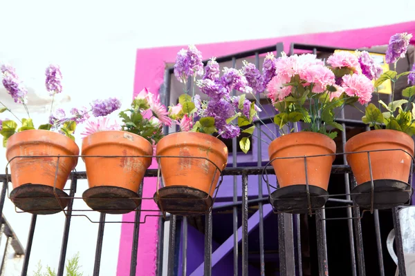 Blumenbalkon in rosa und lila bei Ibiza — Stockfoto