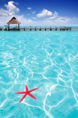 Starfish as summer symbol in tropical beach clipart