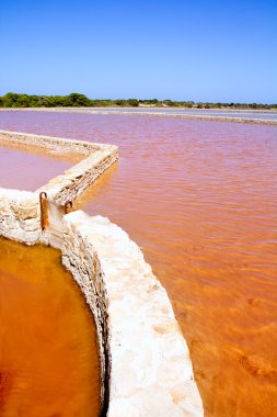 Formentera Ses Salines saltworks red water clipart