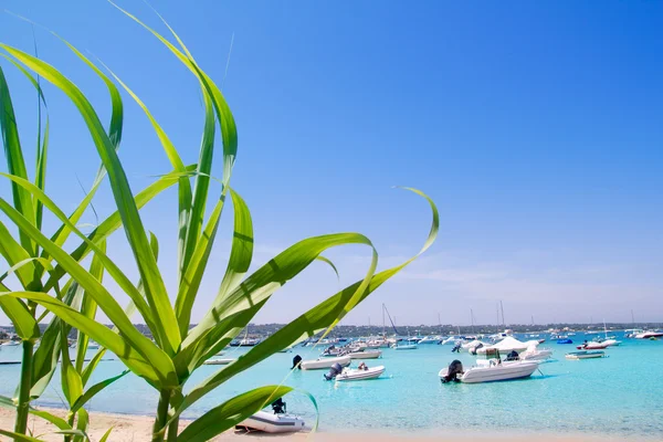 Estany des Peix lake in Formentera — Stock Photo, Image