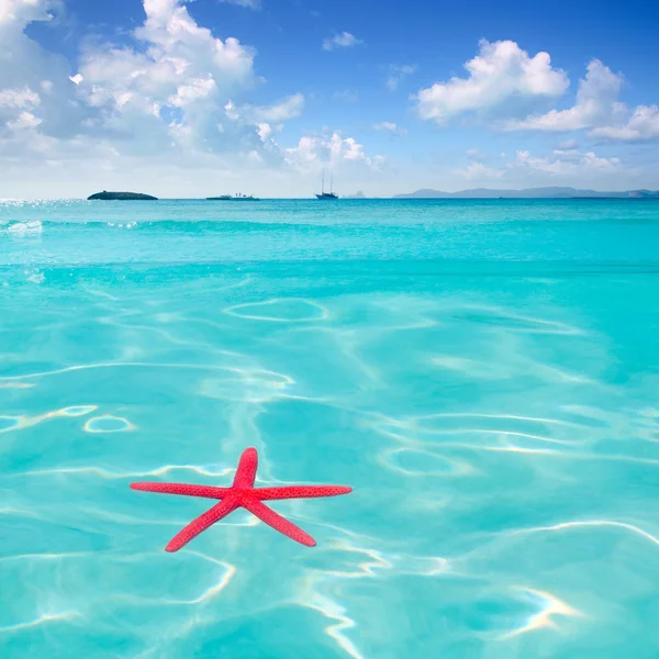 Estrella de mar roja flotando en el mar tropical perfecto —  Fotos de Stock