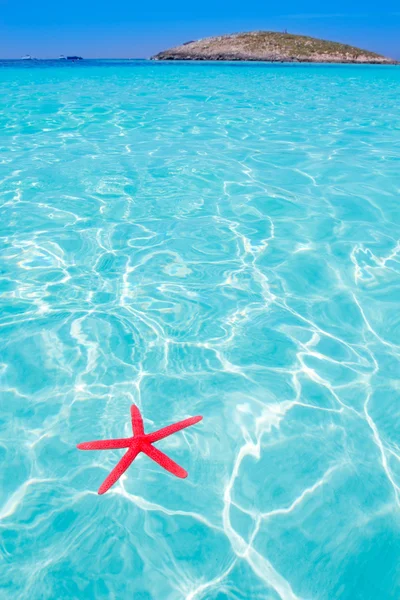 Starfish as summer symbol in tropical beach — Stock Photo, Image