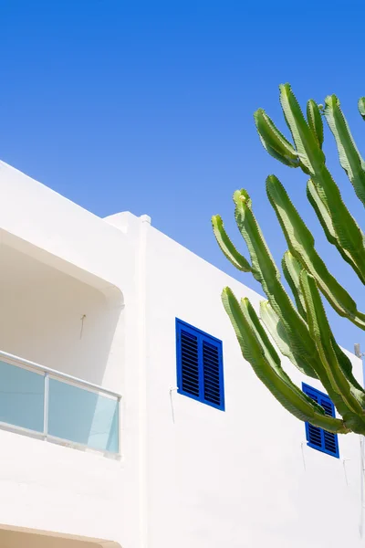 stock image White mediterranean cactus house in Formentera