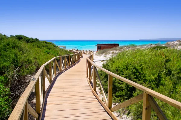 Formentera çarpıcı els arenals beach yürüme yolu — Stok fotoğraf