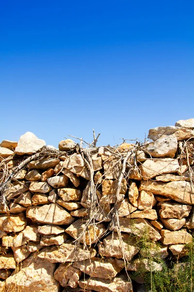Medelhavet torkade grenar och murverk vägg — Stockfoto