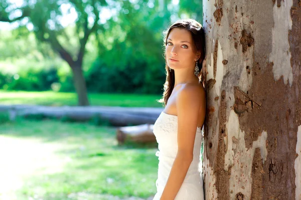 Bruid vrouw gelukkig poseren in buiten boom — Stockfoto