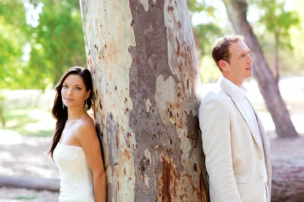 Couple happy in love at park outdoor tree — Stock Photo, Image