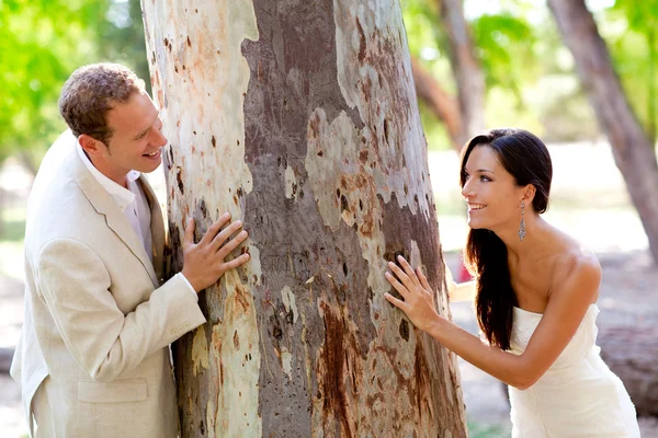 Pár šťastný v lásce hraje v kmen stromu — Stock fotografie