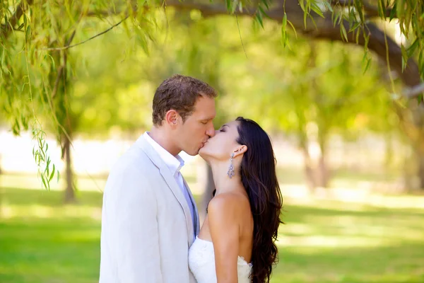 Пара щаслива в любові цілується в парку — стокове фото
