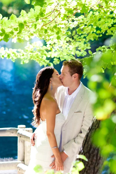 Pár szerelmes csók az erdei fa kék-tó — Stock Fotó