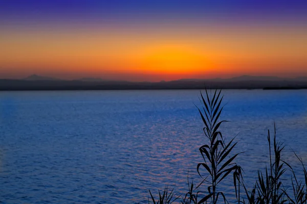 Захід сонця у Albufera озеро Valencia — стокове фото