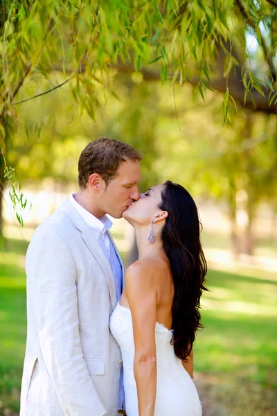 Пара цілується в медовий місяць відкритий парк — стокове фото