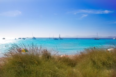 Illetes Formentera beach turquoise water clipart