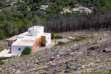 Ibiza after fire in spring 2011 clipart