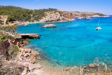 Ibiza Punta de Xarraca turquoise beach clipart
