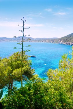 Ibiza Cala de Sant Vicent caleta de san vicente