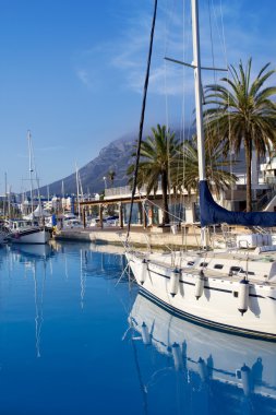 Denia marina port tekneler ve mongo