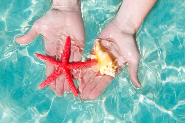 Deniz yıldızı ve tropikal su seashell eller — Stok fotoğraf