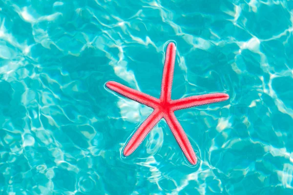 Rode starfish drijvend op schoon turquoise water — Stockfoto