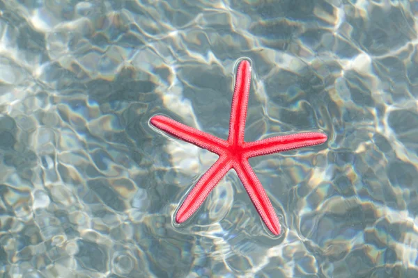 Red starfish floating in white sand beach — Stock Photo, Image