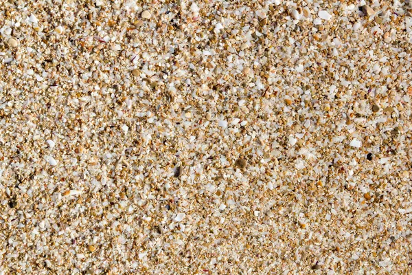 Ibiza zand macro bodemtextuur — Stockfoto