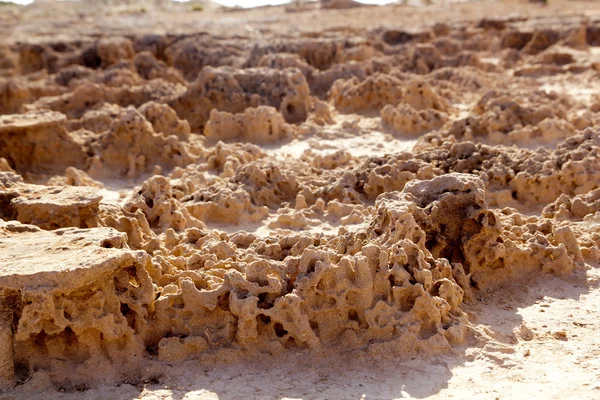 Marroig kalksteen zandsteen kan verweerde — Stockfoto