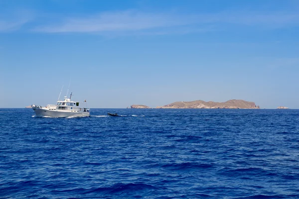 Острова Ибица-дель-Эспарто и Бледес — стоковое фото