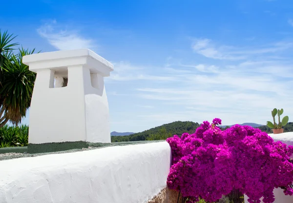 Ibiza casas brancas e flores em Sant Miquel — Fotografia de Stock
