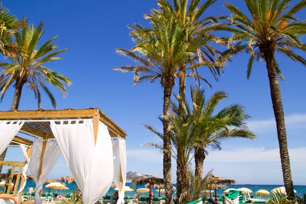 Ibiza platja en bossa strandtól, pálmafákkal — Stock Fotó