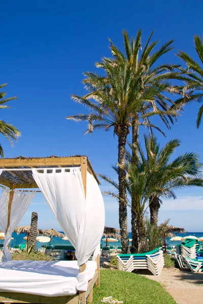 Ibiza Platja En bossa beach with palm trees — Stock Photo, Image