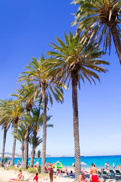 Palmiye ağaçları ile Ibiza platja en bossa Plajı — Stok fotoğraf