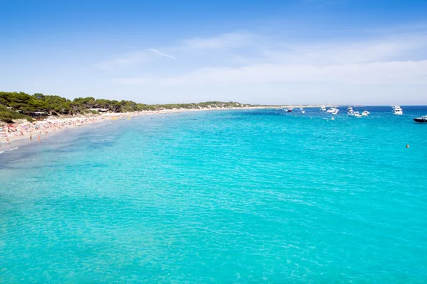 Ibiza Ses Salines sud spiaggia turchese — Foto Stock
