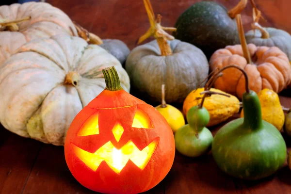 Halloween pumpkin jack o lámpa izzó — Stock Fotó